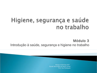 Módulo 3
Introdução à saúde, segurança e higiene no trabalho
Módulo 3/CEF/Set.2007
Escola Secundária de Maria Lamas
Prof. Céu Rodrigues
 
