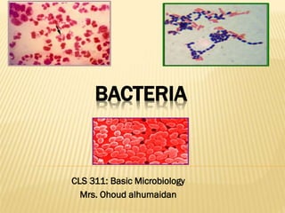 BACTERIA
CLS 311: Basic Microbiology
Mrs. Ohoud alhumaidan
 