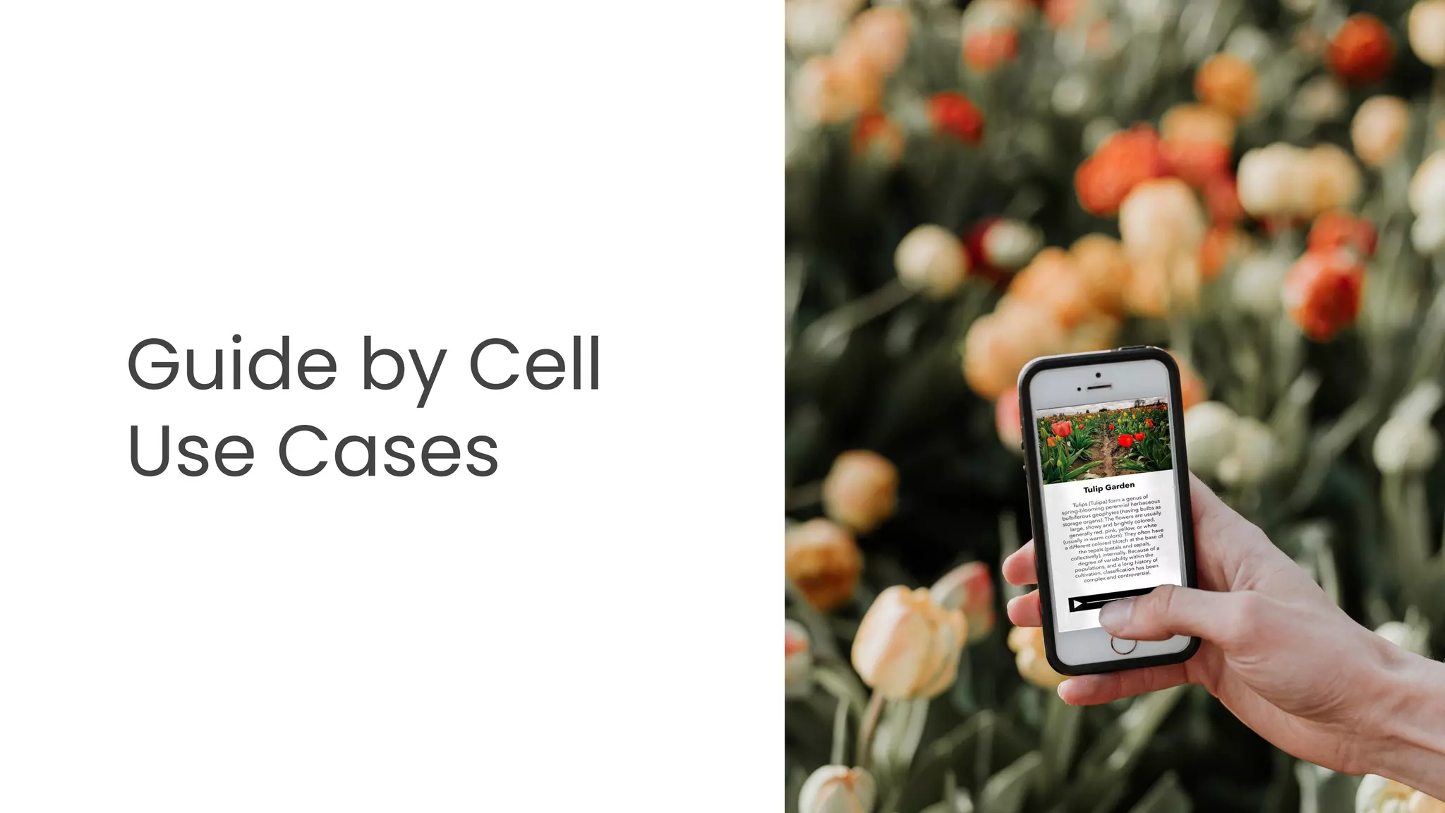 Guide by Cell
Use Cases
 