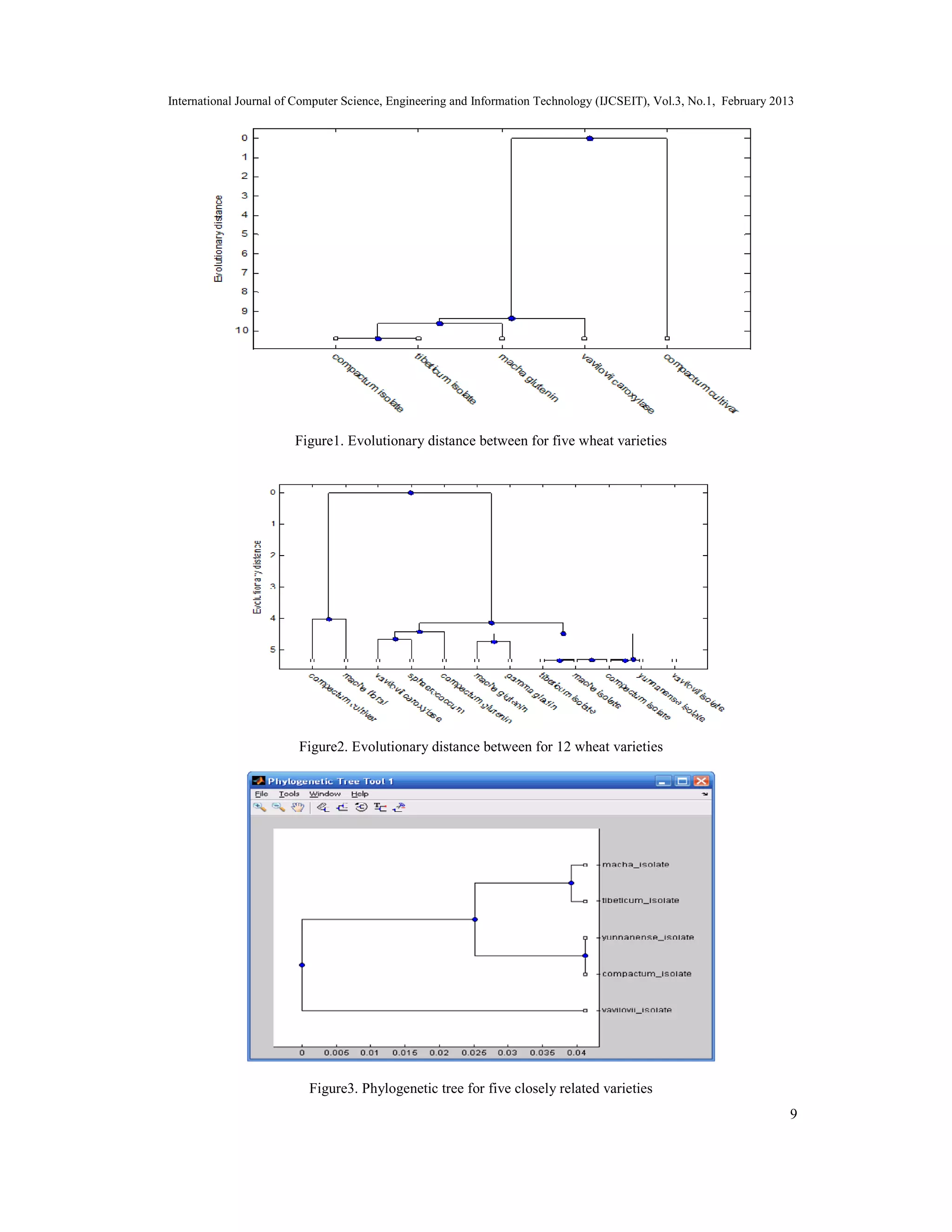 International Journal of Computer Science, Engineering and Information Technology (IJCSEIT), Vol.3, No.1, February 2013
9
Figure1. Evolutionary distance between for five wheat varieties
Figure2. Evolutionary distance between for 12 wheat varieties
Figure3. Phylogenetic tree for five closely related varieties
 