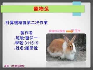 寵物兔 
計算機概論第二次作業 
製作者 
班級:畜保一 
學號:311519 
姓名:羅恩悅 
牧場的荷蘭兔花生♥ 
 