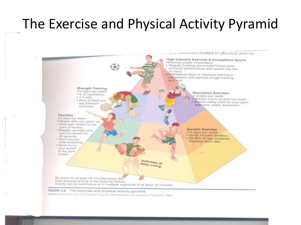 Role Of Physical Education In Wholistic Personality Development