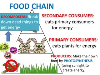 FOOD CHAIN
DECOMPOSERS: Break  SECONDARY CONSUMER:
down dead things to  eats primary consumers
get energy              for energy

                      PRIMARY CONSUMERS:
                       eats plants for energy
                       PRODUCERS: Make their own
                       food by PHOTOSYNTHESIS
                             (using sunlight to
                              create energy)
 