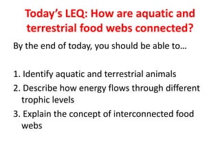 Today’s LEQ: How are aquatic and
  terrestrial food webs connected?
By the end of today, you should be able to…

1. Identify aquatic and terrestrial animals
2. Describe how energy flows through different
  trophic levels
3. Explain the concept of interconnected food
  webs
 