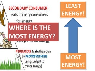 LEAST
               ENERGY!

WHERE IS THE
MOST ENERGY?

                MOST
               ENERGY!
 