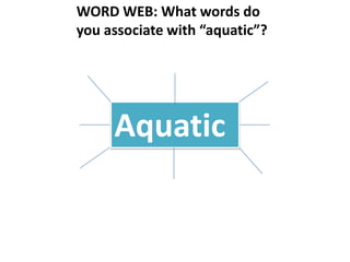 WORD WEB: What words do
you associate with “aquatic”?




     Aquatic
 