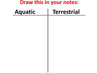 Draw this in your notes:
Aquatic       Terrestrial
 