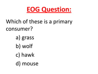EOG Question:
Which of these is a primary
consumer?
   a) grass
   b) wolf
   c) hawk
   d) mouse
 