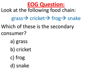 EOG Question:
Look at the following food chain:
    grass cricket frog snake
Which of these is the secondary
consumer?
   a) grass
   b) cricket
   c) frog
   d) snake
 