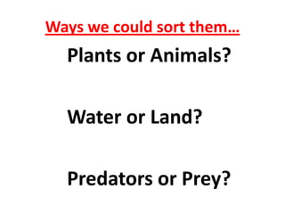 Ways we could sort them…
  Plants or Animals?

  Water or Land?

  Predators or Prey?
 