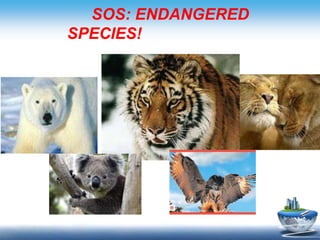 SOS: ENDANGERED
SPECIES!
 