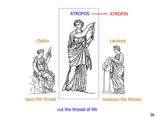 Atropos Scissors Thread Bài Giảng Alcaloid Dược Liệu Chứa Alcaloid | PDF