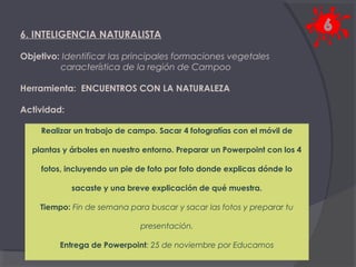 6. INTELIGENCIA NATURALISTA
Objetivo: Identificar las principales formaciones vegetales
característica de la región de Campoo
Herramienta: ENCUENTROS CON LA NATURALEZA
Actividad:
Realizar un trabajo de campo. Sacar 4 fotografías con el móvil de
plantas y árboles en nuestro entorno. Preparar un Powerpoint con los 4
fotos, incluyendo un pie de foto por foto donde explicas dónde lo
sacaste y una breve explicación de qué muestra.
Tiempo: Fin de semana para buscar y sacar las fotos y preparar tu
presentación.
Entrega de Powerpoint: 25 de noviembre por Educamos

 
