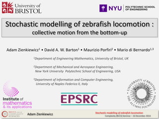 Stochastic modelling of zebrafish locomotion :
collective motion from the bottom-up
Adam Zienkiewicz1 • David A. W. Barton1 • Maurizio Porfiri2 • Mario di Bernardo1,3
1Department of Engineering Mathematics, University of Bristol, UK
2Department of Mechanical and Aerospace Engineering,
New York University Polytechnic School of Engineering, USA
3Department of Information and Computer Engineering,
University of Naples Federico II, Italy
Adam Zienkiewicz Stochastic modelling of zebrafish locomotion
Complexity (BCCS) Seminar – 16 December 2014
 