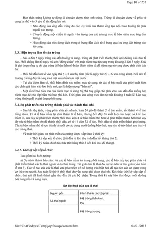 – Bản thân trứng không tự động di chuyển được như tinh trùng. Trứng di chuyển được về phía tử
cung là nhờ vào 3 yếu tố tác động lên nó:
+ Nhu động của ống dẫn trứng do các cơ trơn của thành ống tạo nên theo hướng từ phía
ngoài vào trong.
+ Chuyển động một chiều từ ngoài vào trong của các nhung mao tế bào niêm mạc ống dẫn
trứng.
+ Hoạt động của một dòng dịch trong ổ bụng dẫn dịch từ ổ bụng qua loa ống dẫn trứng vào
tử cung.
3.3. Hiện tượng làm tổ của trứng
– Sau 4 đến 5 ngày trứng vào đến buồng tử cung, trứng đã phát triển thành phôi với khoảng vài chục tế
bào. Phôi không làm tổ ngay mà còn "dừng chân" trên mặt niêm mạc tử cung trong khoảng 2 đến 3 ngày. Đây
là giai đoạn sống tự do của trứng để bản thân nó hoàn thiện thêm và để niêm mạc tử cung được phát triển đầy
đủ.
– Phôi bắt đầu làm tổ vào ngày thứ 6  8 sau thụ tinh (tức là ngày thứ 20  22 của vòng kinh). Nơi làm tổ
thường ở vùng đáy tử cung và ở mặt sau nhiều hơn mặt trước.
– Tại địa điểm làm tổ, phôi bám dính vào niêm mạc tử cung, từ các tế bào nuôi của phôi xuất hiện
các chân giả bám vào lớp biểu mô, gọi là hiện tượng "bám rễ".
– Một số tế bào biểu mô của niêm mạc tử cung bị phá huỷ giúp cho phôi chui sâu dần dần xuống lớp
niêm mạc để cho lớp biểu mô bao phủ kín. Thời gian của công việc làm tổ mất khoảng 1 tuần lễ. Lúc này
trứng thường đã ở giai đoạn phôi nang.
3.4. Sự phát triển của trứng thành phôi và thành thai nhi
– Sau khi thụ tinh, trứng phân chia rất nhanh. Sau 24 giờ đã thành 2 tế bào mầm, rồi thành 4 tế bào
bằng nhau. Từ 4 tế bào mầm lại chia thành 8 tế bào, nhưng đến đây đã xuất hiện hai loại: có 4 tế bào
mầm to, sau này sẽ phát triển thành phôi thai, còn 4 tế bào mầm nhỏ hơn sẽ phát triển nhanh hơn bao vây
lấy các tế bào mầm lớn để thành phôi dâu, có từ 16 đến 32 tế bào. Phôi dâu sẽ phát triển thành phôi nang.
Các tế bào mầm nhỏ sẽ tạo thành lá nuôi có tác dụng nuôi dưỡng bào thai, sau này sẽ trở thành rau thai và
các màng thai.
– Về mặt thời gian, sự phát triển của trứng được xếp theo 2 thời kỳ:
+ Thời kỳ sắp xếp tổ chức (bắt đầu từ lúc thụ tinh đến hết tháng thứ 2).
+ Thời kỳ hoàn chỉnh tổ chức (từ tháng thứ 3 đến khi thai đủ tháng).
3.4.1. Thời kỳ sắp xếp tổ chức
Bao gồm hai hiện tượng:
a) Sự hình thành bào thai: từ các tế bào mầm to trong phôi nang, các tế bào tiếp tục phân chia và
phát triển thành các lá thai ngoài và lá thai trong. Từ giữa hai lá thai đó lại tạo nên lá thai giữa (vào tuần
lễ thứ 3). Các tế bào của các lá thai vừa phát triển về số lượng vừa biệt hoá để tạo nên các cơ quan trong
cơ thể con người. Sau tuần lễ thứ 8 phôi thai chuyển sang giai đoạn thai nhi. Kết thúc thời kỳ sắp xếp tổ
chức, thai nhi đã hình thành gần như đầy đủ các bộ phận. Trong thời kỳ này bào thai được nuôi dưỡng
bởi nang rốn và nang niệu.
Sự biệt hoá của các lá thai
Nguồn gốc Hình thành các bộ phận
Lá thai ngoài
Hệ thống thần kinh.
Da.
Hệ thống xương.
Page 10 of 237
04/01/2013
file://C:WindowsTempjoytfbauqwcontent.htm
 