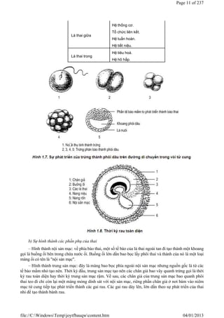 b) Sự hình thành các phần phụ của thai
– Hình thành nội sản mạc: về phía bào thai, một số tế bào của lá thai ngoài tan đi tạo thành một khoang
gọi là buồng ối bên trong chứa nước ối. Buồng ối lớn dần bao bọc lấy phôi thai và thành của nó là một loại
màng ối có tên là "nội sản mạc".
– Hình thành trung sản mạc: đây là màng bao bọc phía ngoài nội sản mạc nhưng nguồn gốc là từ các
tế bào mầm nhỏ tạo nên. Thời kỳ đầu, trung sản mạc tạo nên các chân giả bao vây quanh trứng gọi là thời
kỳ rau toàn diện hay thời kỳ trung sản mạc rậm. Về sau, các chân giả của trung sản mạc bao quanh phôi
thai teo đi chỉ còn lại một màng mỏng dính sát với nội sản mạc, riêng phần chân giả ở nơi bám vào niêm
mạc tử cung tiếp tục phát triển thành các gai rau. Các gai rau dày lên, lớn dần theo sự phát triển của thai
nhi để tạo thành bánh rau.
Lá thai giữa
Hệ thống cơ.
Tổ chức liên kết.
Hệ tuần hoàn.
Hệ tiết niệu.
Lá thai trong
Hệ tiêu hoá.
Hệ hô hấp.
Page 11 of 237
04/01/2013
file://C:WindowsTempjoytfbauqwcontent.htm
 