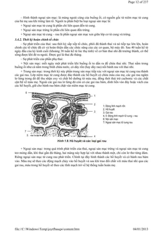 – Hình thành ngoại sản mạc: là màng ngoài cùng của buồng ối, có nguồn gốc từ niêm mạc tử cung
của bà mẹ sau khi trứng làm tổ. Người ta phân biệt ba loại ngoại sản mạc là:
+ Ngoại sản mạc tử cung là phần chỉ liên quan đến tử cung.
+ Ngoại sản mạc trứng là phần chỉ liên quan đến trứng.
+ Ngoại sản mạc tử cung – rau là phần ngoại sản mạc xen giữa lớp cơ tử cung và trứng.
3.4.2. Thời kỳ hoàn chỉnh tổ chức
– Sự phát triển của thai: sau thời kỳ sắp xếp tổ chức, phôi đã thành thai và nó tiếp tục lớn lên, hoàn
chỉnh các tổ chức đã có và hoàn thiện dần các chức năng của các cơ quan, bộ máy đó. Sau 40 tuần kể từ
ngày đầu của kỳ kinh cuối (khoảng 38 tuần kể từ lúc thụ tinh) về cơ bản thai nhi đã trưởng thành, có thể
sống được khi đẻ ra ngoài. Được gọi là thai đủ tháng.
– Sự phát triển của phần phụ thai:
+ Nội sản mạc: mỗi ngày một phát triển khi buồng ối to dần ra để chứa thai nhi. Thai nằm trong
buồng ối như cá nằm trong bình chứa nước, có dây rốn (hay dây rau) nối bánh rau với thai nhi.
+ Trung sản mạc: trong thời kỳ này phần trung sản mạc tiếp xúc với ngoại sản mạc tử cung rau thành
các gai rau. Lớp niêm mạc tử cung được đào thành các hồ huyết có chứa máu của mẹ, các gai rau ngâm
lơ lửng trong đó để thu nhận oxy và chất bổ dưỡng từ máu mẹ, đồng thời thải trừ cacbonic và các chất
cặn bã về máu mẹ. Ngoài các gai rau lơ lửng đó còn có các gai rau bám, dính liền vào đáy hoặc vách của
các hồ huyết, giữ cho bánh rau bám chặt vào niêm mạc tử cung.
+ Ngoại sản mạc: trong quá trình phát triển của thai, ngoại sản mạc trứng và ngoại sản mạc tử cung
teo mỏng dần, khi thai gần đủ tháng, hai màng này hợp lại với nhau thành một, chỉ còn lơ thơ từng đám.
Riêng ngoại sản mạc tử cung rau phát triển. Chính tại đây hình thành các hồ huyết và có bánh rau bám
vào. Máu mẹ sẽ theo các động mạch chảy vào hồ huyết và sau khi trao đổi chất với máu thai nhi qua các
gai rau, máu trong hồ huyết sẽ theo các tĩnh mạch trở về hệ thống tuần hoàn mẹ.
Page 12 of 237
04/01/2013
file://C:WindowsTempjoytfbauqwcontent.htm
 