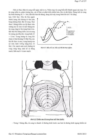 – Khi có thai, thân tử cung mỗi ngày một to ra. Niêm mạc tử cung biến đổi thành ngoại sản mạc. Cơ
tử cung mềm ra, giảm trương lực, các tế bào cơ phát triển nhiều hơn, lớn và dài thêm. Dung tích tử cung
lúc bình thường từ 3  5ml, đến khi thai đủ tháng, dung tích này trung bình lên tới 5 lít (tăng
– Trong 3 tháng đầu, tử cung to nhanh về đường kính trước sau hơn là đường kính ngang khiến nó
Page 17 of 237
04/01/2013
file://C:WindowsTempjoytfbauqwcontent.htm
 