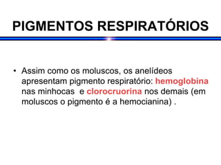 PIGMENTOS RESPIRATÓRIOS
• Assim como os moluscos, os anelídeos
apresentam pigmento respiratório: hemoglobina
nas minhocas e clorocruorina nos demais (em
moluscos o pigmento é a hemocianina) .
 