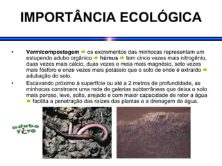 IMPORTÂNCIA ECOLÓGICA
• Vermicompostagem  os excrementos das minhocas representam um
estupendo adubo orgânico  húmus  tem cinco vezes mais nitrogênio,
duas vezes mais cálcio, duas vezes e meia mais magnésio, sete vezes
mais fósforo e onze vezes mais potássio que o solo de onde é extraído 
adubação do solo.
• Escavando próximo à superfície ou até a 2 metros de profundidade, as
minhocas constroem uma rede de galerias subterrâneas que deixa o solo
mais poroso, leve, solto, arejado e com maior capacidade de reter a água
 facilita a penetração das raízes das plantas e a drenagem da água.
 