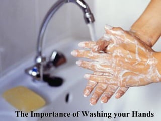The Importance of Washing your HandsThe Importance of Washing your Hands
 