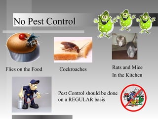 No Pest ControlNo Pest Control
Flies on the Food Cockroaches Rats and Mice
In the Kitchen
Pest Control should be done
on a REGULAR basis
 
