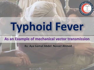 Typhoid Fever
By: Aya Gamal Abdel Nasser Ahmed
As an Example of mechanical vector transmission
 