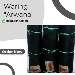 Waring Arwana