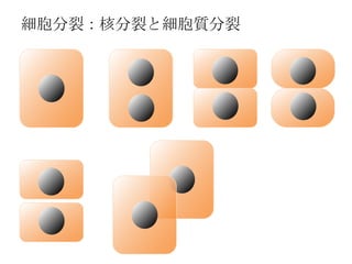 ѣ˷Ѥϸʷ
 