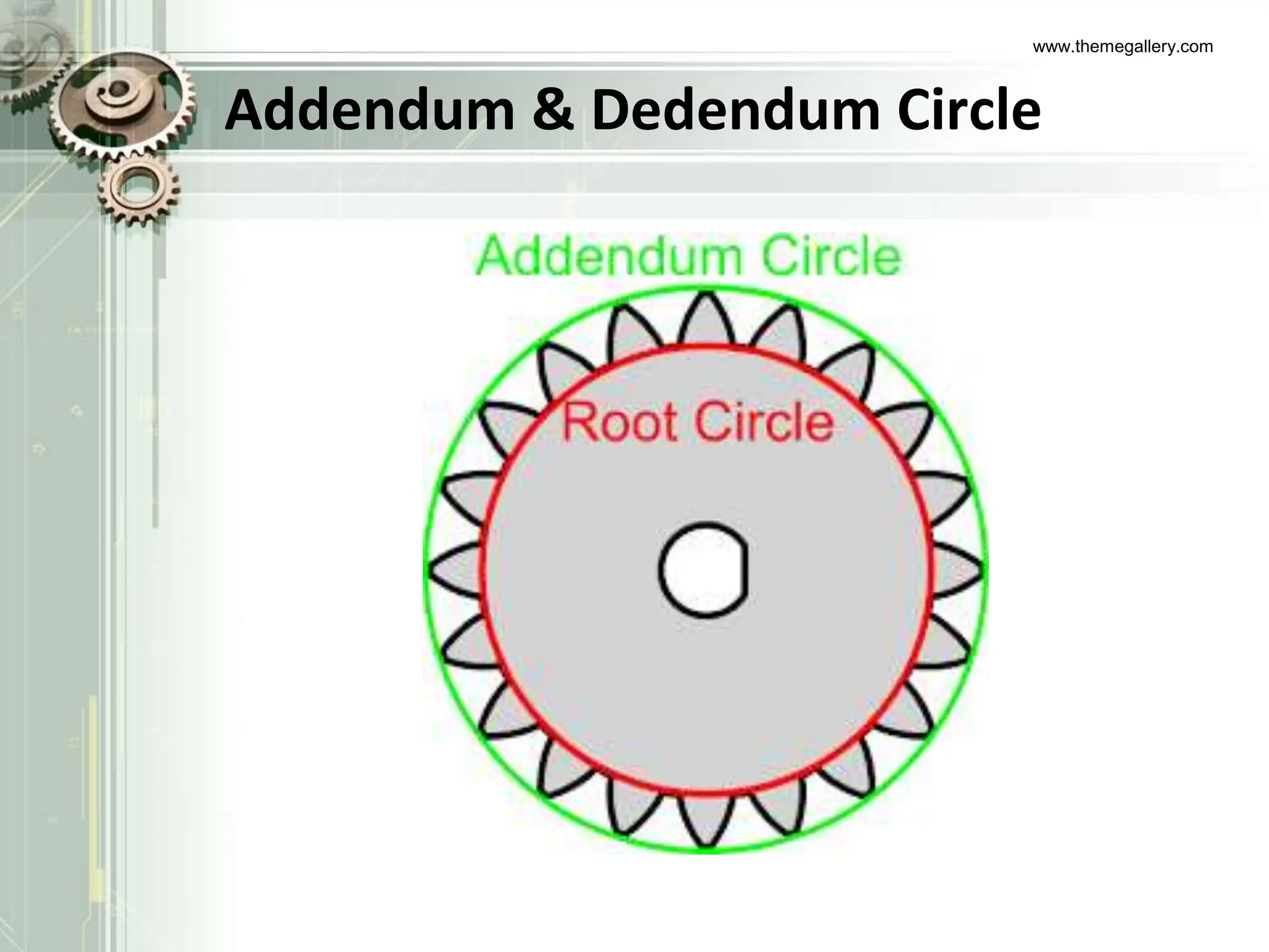 www.themegallery.com
Addendum & Dedendum Circle
 