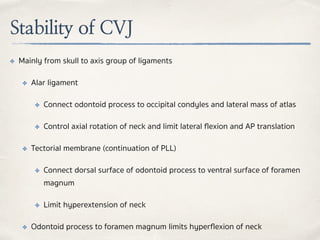 Stability of CVJ
✤ Mainly from skull to axis group of ligaments
✤ Alar ligament
✤ Connect odontoid process to occipital condyles and lateral mass of atlas
✤ Control axial rotation of neck and limit lateral ﬂexion and AP translation
✤ Tectorial membrane (continuation of PLL)
✤ Connect dorsal surface of odontoid process to ventral surface of foramen
magnum
✤ Limit hyperextension of neck
✤ Odontoid process to foramen magnum limits hyperﬂexion of neck
 