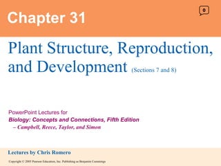 Chapter 31 Plant Structure, Reproduction, and Development  (Sections 7 and 8) 0 
