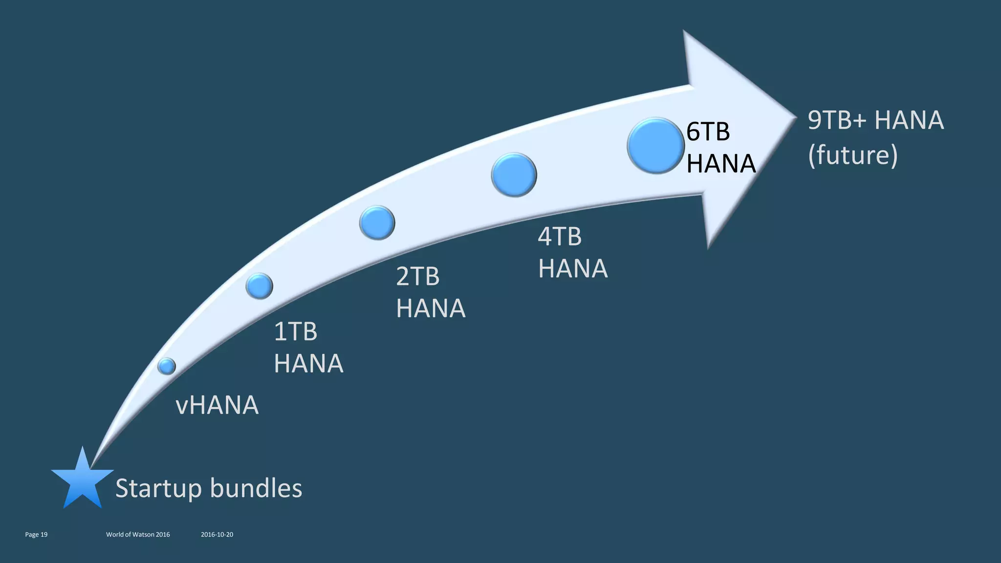 2016-10-20World of Watson 2016Page 19
vHANA
1TB
HANA
2TB
HANA
4TB
HANA
6TB
HANA
Startup bundles
9TB+ HANA
(future)
 
