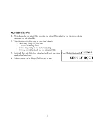 15
MỤC TIÊU CHƯƠNG:
1.  Mô tả được cấu trúc của tế bào: cấu trúc của màng tế bào, cấu trúc của bào tương và các 
bào quan, cấu trúc của nhân.
2.  Trình bày được các chức năng cơ bản của tế bào như: 
­ Hoạt động thông tin của tế bào.
­ Tiêu hóa chất trong tế bào. 
­ Sự tạo năng lượng từ các chất dinh dưỡng. 
­ Sự tổng hợp và tạo thành các cấu trúc của tế bào.
3.  Giải thích được các hình thức vận chuyển vật chất qua màng tế bào: khuếch tán thụ động 
và vận chuyển tích cực.
4.   Phân tích được các hệ thống điều hòa trong tế bào.
CHƯƠNG 2
SINH LÝ HỌC T
 