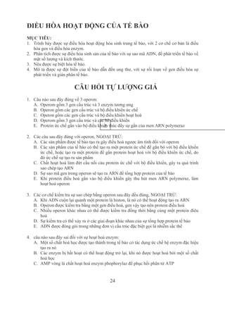 24
ĐIỀU HÒA HOẠT ĐỘNG CỦA TẾ BÀO
MỤC TIÊU:
1. Trình bày được sự điều hòa hoạt động hóa sinh trung tế bào, với 2 cơ chế cơ bản là điều 
hòa gen và điều hòa enzym.
2. Phân tích được sự điều hòa sinh sản của tế bào với sự sao mã ADN, để phát triển tế bào về 
mặt số lượng và kích thước.
3. Nêu được sự biệt hóa tế bào.
4. Mô tả được sự đột biến của tế bào dẫn đến ung thư, với sự rối loạn về gen điều hòa sự 
phát triển và gián phân tế bào.
CÂU HỎI TỰ LƯỢNG GIÁ
1. Câu nào sau đây đúng về 3 operon:
A. Operom gồm 3 gen cấu trúc và 3 enzym tương ưng
B. Operon gồm các gen cấu trúc và bộ điều khiển ức chế
C. Operon gồm các gen cấu trúc và bộ điều khiển hoạt hoá
D. Operom gồm 3 gen cấu trúc và các bô điều khiển
E. Protein ức chế gắn vào bộ điều khiển thúc đẩy sự gắn của men ARN polymeraz
2. Các câu sau đây đúng với operon, NGOẠI TRỪ:
A. Các sản phẩm được tế bào tạo ra gây điều hoà ngược âm tính đối với operon
B. Các sản phẩm của tế bào có thể tạo ra một protein ức chế để gắn bó với bộ điều khiền 
ức chế, hoặc tạo ra một protein để gắn protein hoạt hoá với bộ điều khiển ức chế, do 
đó ức chế sự tạo ra sản phẩm
C. Chất hoạt hoá làm đứt cầu nối cảu protein ức chế với bộ điều khiển, gây ra quá trình 
sao chép tạo ARN
D. Sự sao mã gen trong operon sẽ tạo ra ARN để tổng hợp protein của tế bào
E. Khi protein điều hoà gắn vào bộ điều khiển gây thu hút men ARN polymeraz, làm 
hoạt hoá operon
3. Các cơ chế kiểm tra sự sao chép bằng operon sau đây đều đúng, NGOẠI TRỪ:
A. Khi ADN cuộn lại quanh một protein là histon, là nó có thể hoạt động tạo ra ARN
B. Operon được kiểm tra bằng một gen điều hoà, gen vậy tạo nên protein điều hoà
C. Nhiều operon khác nhau có thể được kiểm tra đồng thời bằng cùng một protein đìêu 
hoà
D. Sự kiểm tra có thể xảy ra ở các giai đoạn khác nhau của sự tổng hợp protein tế bào
E. ADN được đóng gói trong những đơn vị cấu trúc đặc biệt gọi là nhiễm sắc thể
4. câu nào sau đây sai đối với sự hoạt hoá enzym:
A. Một số chất hoá học được tạo thành trong tế bào có tác dụng ức chế hệ enzym đặc hiệu 
tạo ra nó
B. Các enzym bị bất hoạt có thể hoạt động trở lại, khi nó được hoạt hoá bởi một số chất 
hoá học
C. AMP vòng là chất hoạt hoá enzym phophorylaz để phục hồi phân tử ATP
4
 