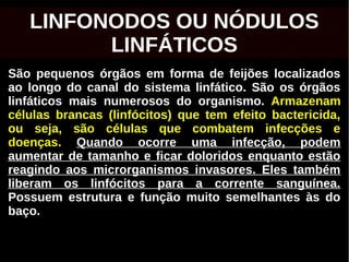 São pequenos órgãos em forma de feijões localizados
ao longo do canal do sistema linfático. São os órgãos
linfáticos mais numerosos do organismo. Armazenam
células brancas (linfócitos) que tem efeito bactericida,
ou seja, são células que combatem infecções e
doenças. Quando ocorre uma infecção, podem
aumentar de tamanho e ficar doloridos enquanto estão
reagindo aos microrganismos invasores. Eles também
liberam os linfócitos para a corrente sanguínea.
Possuem estrutura e função muito semelhantes às do
baço.
LINFONODOS OU NÓDULOS
LINFÁTICOS
 