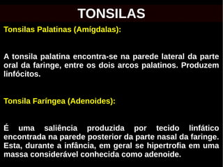 Tonsilas Palatinas (Amígdalas):
A tonsila palatina encontra-se na parede lateral da parte
oral da faringe, entre os dois arcos palatinos. Produzem
linfócitos.
Tonsila Faríngea (Adenoides):
É uma saliência produzida por tecido linfático
encontrada na parede posterior da parte nasal da faringe.
Esta, durante a infância, em geral se hipertrofia em uma
massa considerável conhecida como adenoide.
TONSILAS
 