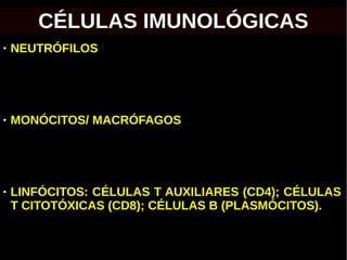● NEUTRÓFILOS
● MONÓCITOS/ MACRÓFAGOS
● LINFÓCITOS: CÉLULAS T AUXILIARES (CD4); CÉLULAS
T CITOTÓXICAS (CD8); CÉLULAS B (PLASMÓCITOS).
CÉLULAS IMUNOLÓGICAS
 