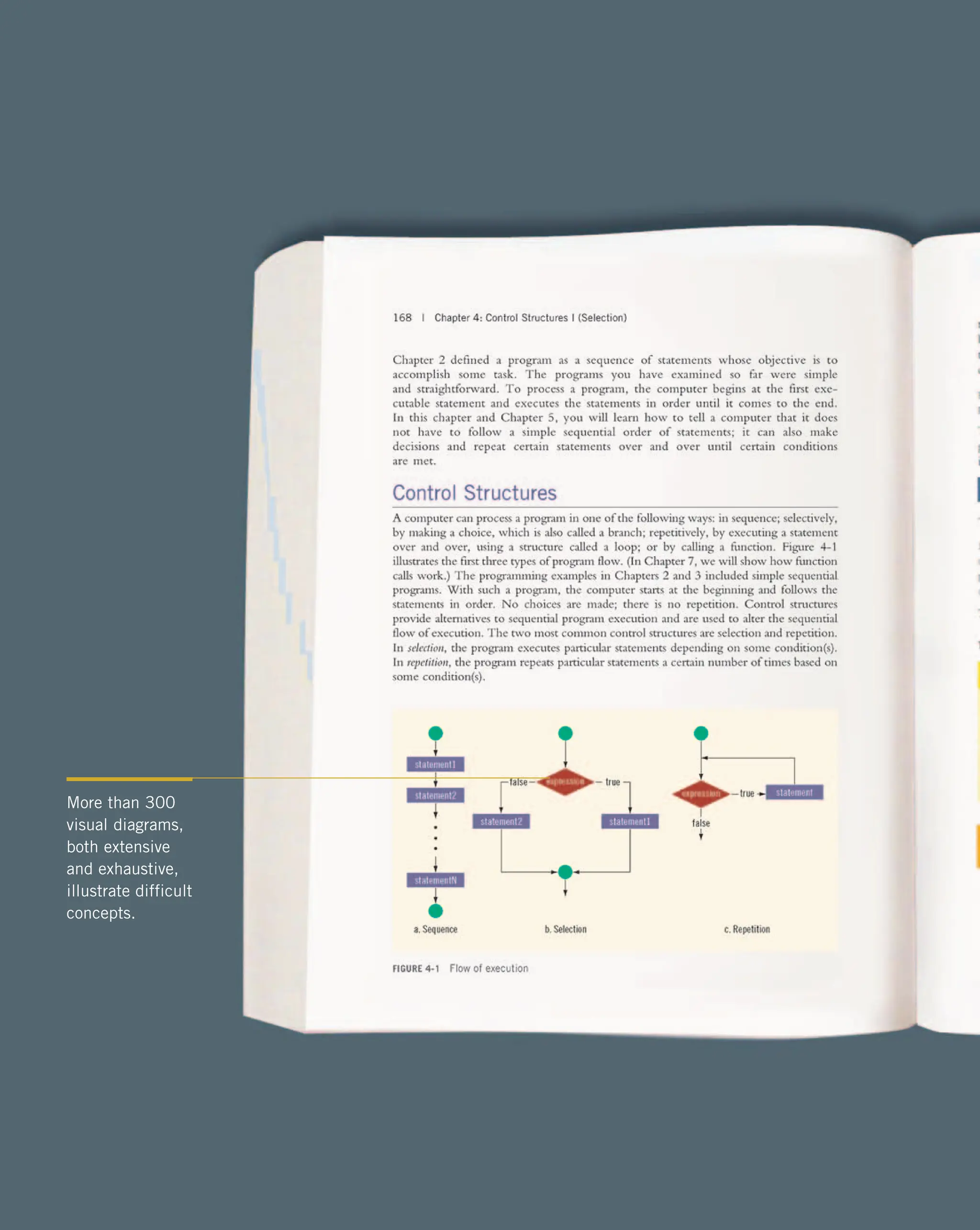 More than 300 visual diagrams, both extensive and exhaustive, illustrate difficult concepts. 