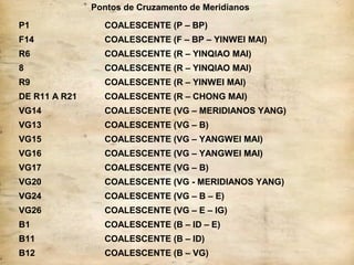 Pontos de Cruzamento de Meridianos
P1 COALESCENTE (P – BP)
F14 COALESCENTE (F – BP – YINWEI MAI)
R6 COALESCENTE (R – YINQIAO MAI)
8 COALESCENTE (R – YINQIAO MAI)
R9 COALESCENTE (R – YINWEI MAI)
DE R11 A R21 COALESCENTE (R – CHONG MAI)
VG14 COALESCENTE (VG – MERIDIANOS YANG)
VG13 COALESCENTE (VG – B)
VG15 COALESCENTE (VG – YANGWEI MAI)
VG16 COALESCENTE (VG – YANGWEI MAI)
VG17 COALESCENTE (VG – B)
VG20 COALESCENTE (VG - MERIDIANOS YANG)
VG24 COALESCENTE (VG – B – E)
VG26 COALESCENTE (VG – E – IG)
B1 COALESCENTE (B – ID – E)
B11 COALESCENTE (B – ID)
B12 COALESCENTE (B – VG)
 