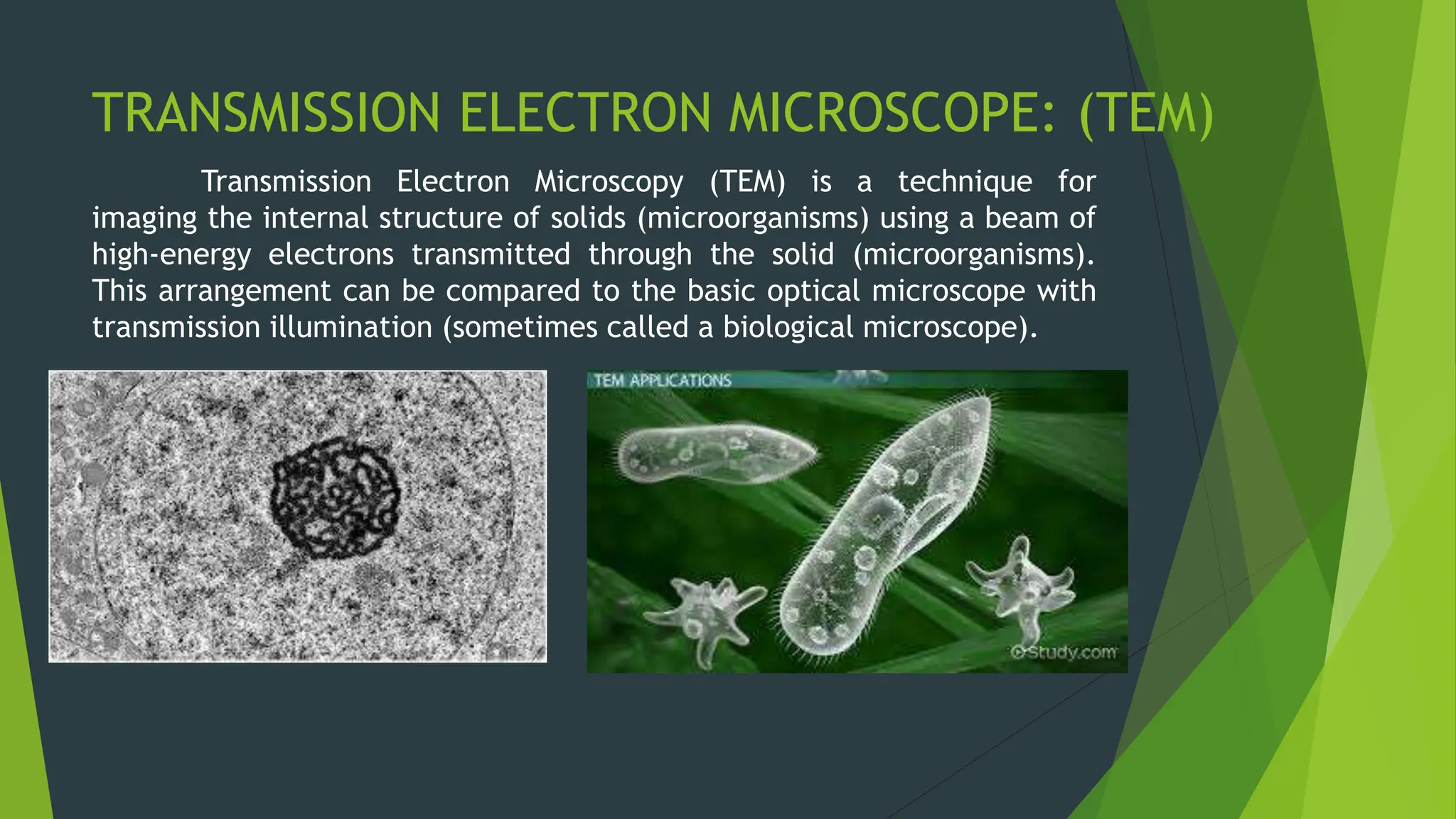 TRANSMISSION ELECTRON MICROSCOPE: (TEM)
Transmission Electron Microscopy (TEM) is a technique for
imaging the internal structure of solids (microorganisms) using a beam of
high-energy electrons transmitted through the solid (microorganisms).
This arrangement can be compared to the basic optical microscope with
transmission illumination (sometimes called a biological microscope).
 
