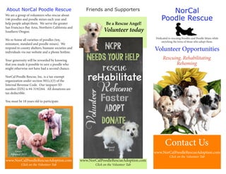 NorCal
Poodle Rescue
Volunteer Opportunities
www.NorCalPoodleRescueAdoption.com
Click on the Volunteer Tab
We are a group of volunteers who rescue about
146 poodles and poodle mixes each year and
help people adopt them. We serve the greater
San Francisco Bay Area, Northern California and
Southern Oregon.
We re-home all varieties of poodles (toy,
miniature, standard and poodle mixes). We
respond to county shelters, humane societies and
individuals via our website and a phone hotline.
Your generosity will be rewarded by knowing
that you made it possible to save a poodle who
might otherwise not have had a second chance.
NorCal Poodle Rescue, Inc. is a tax-exempt
organization under section 501(c)(3) of the
Internal Revenue Code. Our taxpayer ID
number (EIN) is 94-3192264. All donations are
tax deductible.
You must be 18 years old to participate.
About NorCal Poodle Rescue
Rescuing, Rehabilitating
Rehoming
Dedicated to rescuing Poodles and Poodle Mixes while
enriching the loves of those who adopt them.
www.NorCalPoodleRescueAdoption.com
Click on the Volunteer Tab
Grace
Adopted 2015
Contact Us
Friends and Supporters
Be a Rescue Angel!
Volunteer today
www.NorCalPoodleRescueAdoption.com
Click on the Volunteer Tab
Bella
2015
Spoof
2015
 