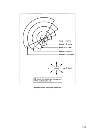 Figura 1 - Corte transversal dos corpos 
19 / 92 
 