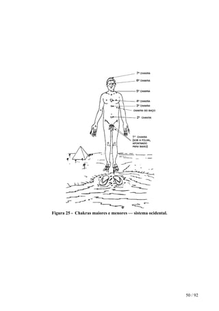 Figura 25 - Chakras maiores e menores — sistema ocidental. 
50 / 92 
 