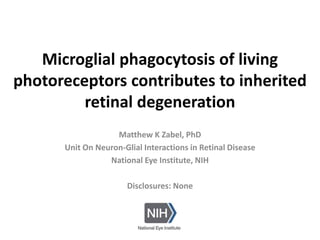 Microglial phagocytosis of living
photoreceptors contributes to inherited
retinal degeneration
Matthew K Zabel, PhD
Unit On Neuron-Glial Interactions in Retinal Disease
National Eye Institute, NIH
Disclosures: None
 