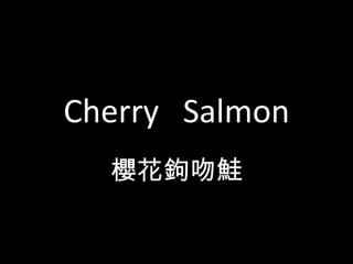 Cherry  Salmon 櫻花鉤吻鮭 