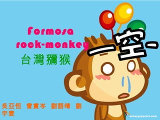 Formosa  rock-monkey 台灣獼猴 吳亞恒  曾貫岑  劉語晴  劉宇雯 