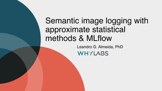 Semantic image logging with
approximate statistical
methods & MLflow
Leandro G. Almeida, PhD
 