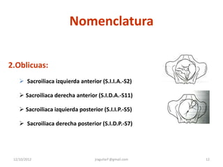 Nomenclatura

2.Oblicuas:
     Sacroiliaca izquierda anterior (S.I.I.A.-S2)

     Sacroiliaca derecha anterior (S.I.D.A.-S11)

     Sacroiliaca izquierda posterior (S.I.I.P.-S5)

     Sacroiliaca derecha posterior (S.I.D.P.-S7)




 12/10/2012                        jraguilarf @gmail.com   12
 