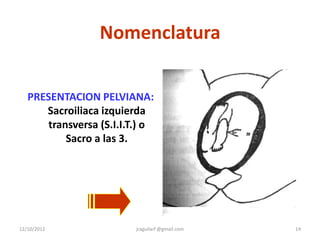 Nomenclatura


   PRESENTACION PELVIANA:
      Sacroiliaca izquierda
       transversa (S.I.I.T.) o
           Sacro a las 3.




12/10/2012                jraguilarf @gmail.com   14
 
